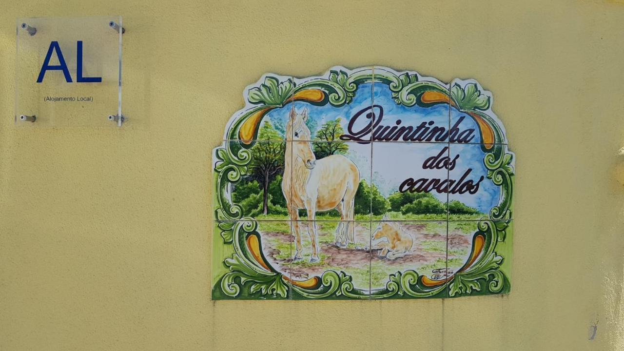 Casinha De Campo- Quintinha Dos Cavalos- 阿鲁达杜什维纽什 外观 照片