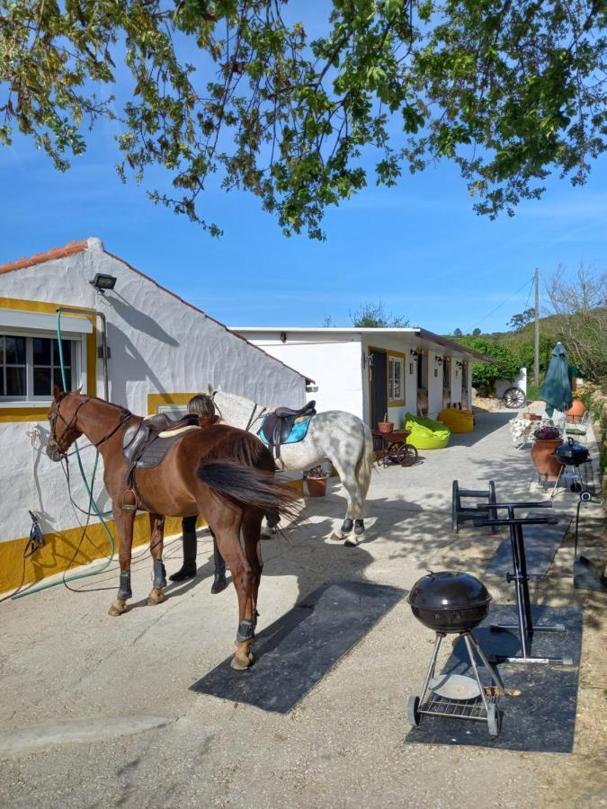 Casinha De Campo- Quintinha Dos Cavalos- 阿鲁达杜什维纽什 外观 照片